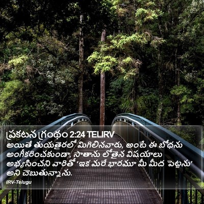 ప్రకటన గ్రంథం 2:24 TELIRV Bible Verse Image