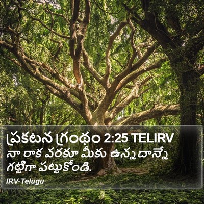 ప్రకటన గ్రంథం 2:25 TELIRV Bible Verse Image