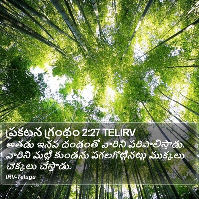 ప్రకటన గ్రంథం 2:27 TELIRV Bible Verse Image