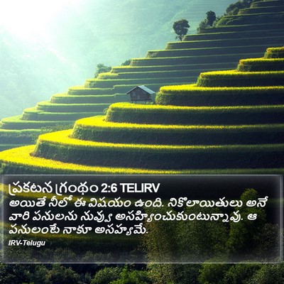 ప్రకటన గ్రంథం 2:6 TELIRV Bible Verse Image