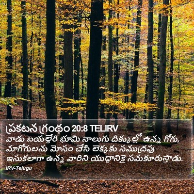 ప్రకటన గ్రంథం 20:8 TELIRV Bible Verse Image