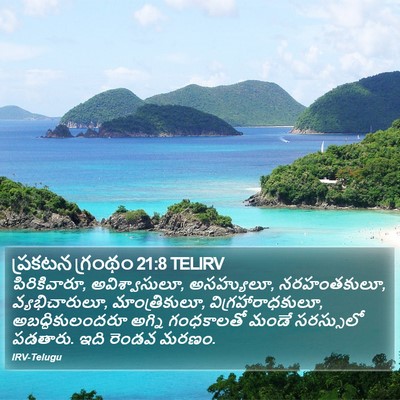 ప్రకటన గ్రంథం 21:8 TELIRV Bible Verse Image