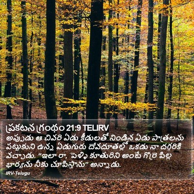 ప్రకటన గ్రంథం 21:9 TELIRV Bible Verse Image