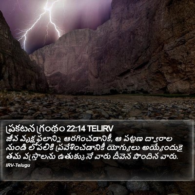 ప్రకటన గ్రంథం 22:14 TELIRV Bible Verse Image