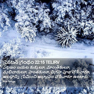 ప్రకటన గ్రంథం 22:15 TELIRV Bible Verse Image