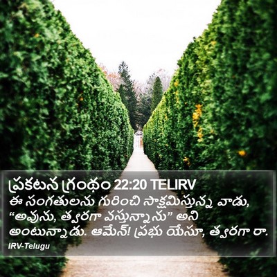 ప్రకటన గ్రంథం 22:20 TELIRV Bible Verse Image