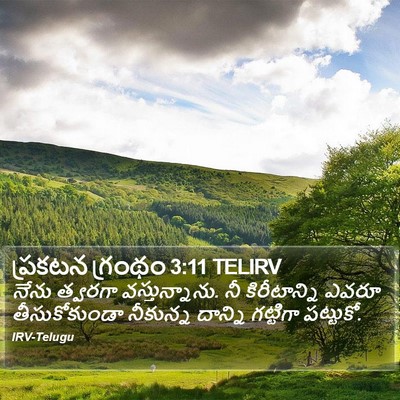 ప్రకటన గ్రంథం 3:11 TELIRV Bible Verse Image