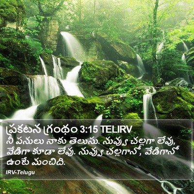 ప్రకటన గ్రంథం 3:15 TELIRV Bible Verse Image