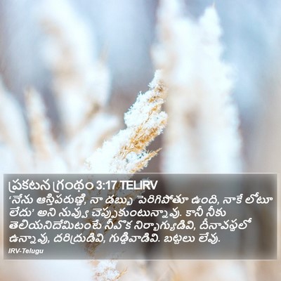 ప్రకటన గ్రంథం 3:17 TELIRV Bible Verse Image