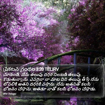 ప్రకటన గ్రంథం 3:20 TELIRV Bible Verse Image