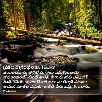 ప్రకటన గ్రంథం 3:5 TELIRV Bible Verse Image