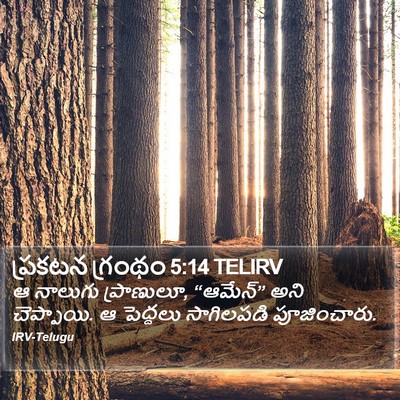 ప్రకటన గ్రంథం 5:14 TELIRV Bible Verse Image