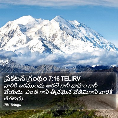 ప్రకటన గ్రంథం 7:16 TELIRV Bible Verse Image