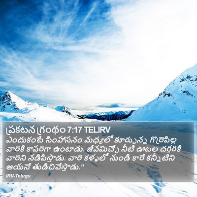ప్రకటన గ్రంథం 7:17 TELIRV Bible Verse Image