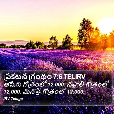 ప్రకటన గ్రంథం 7:6 TELIRV Bible Verse Image
