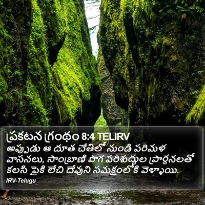 ప్రకటన గ్రంథం 8:4 TELIRV Bible Verse Image