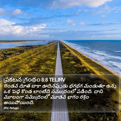 ప్రకటన గ్రంథం 8:8 TELIRV Bible Verse Image