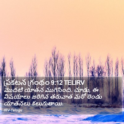 ప్రకటన గ్రంథం 9:12 TELIRV Bible Verse Image