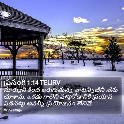 ప్రసంగి 1:14 TELIRV Bible Verse Image