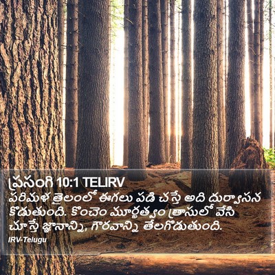 ప్రసంగి 10:1 TELIRV Bible Verse Image