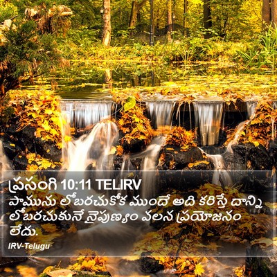 ప్రసంగి 10:11 TELIRV Bible Verse Image