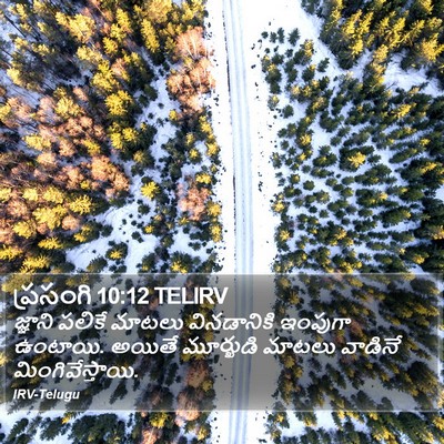 ప్రసంగి 10:12 TELIRV Bible Verse Image