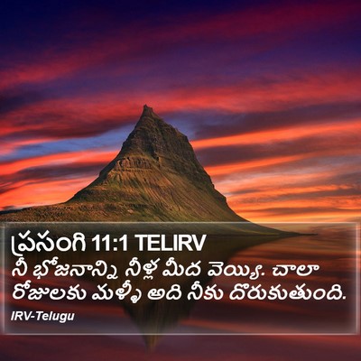 ప్రసంగి 11:1 TELIRV Bible Verse Image