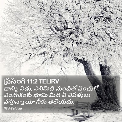 ప్రసంగి 11:2 TELIRV Bible Verse Image