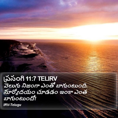 ప్రసంగి 11:7 TELIRV Bible Verse Image