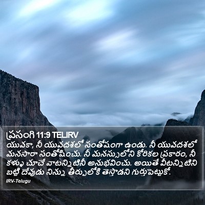 ప్రసంగి 11:9 TELIRV Bible Verse Image