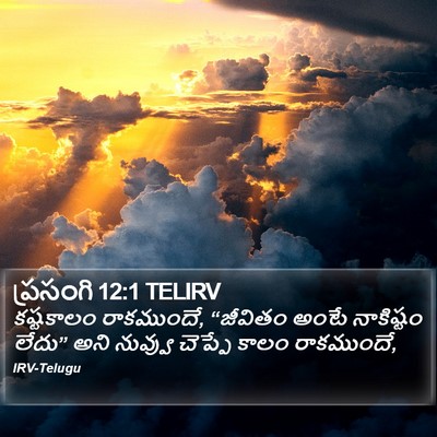 ప్రసంగి 12:1 TELIRV Bible Verse Image