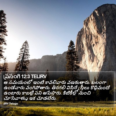 ప్రసంగి 12:3 TELIRV Bible Verse Image