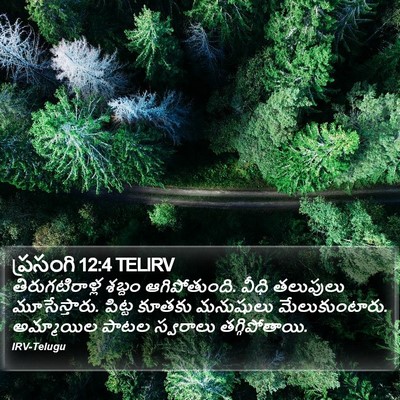 ప్రసంగి 12:4 TELIRV Bible Verse Image