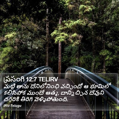 ప్రసంగి 12:7 TELIRV Bible Verse Image