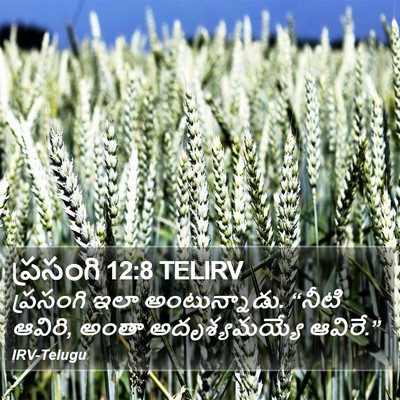 ప్రసంగి 12:8 TELIRV Bible Verse Image