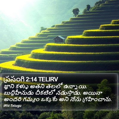 ప్రసంగి 2:14 TELIRV Bible Verse Image