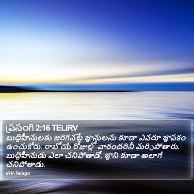 ప్రసంగి 2:16 TELIRV Bible Verse Image