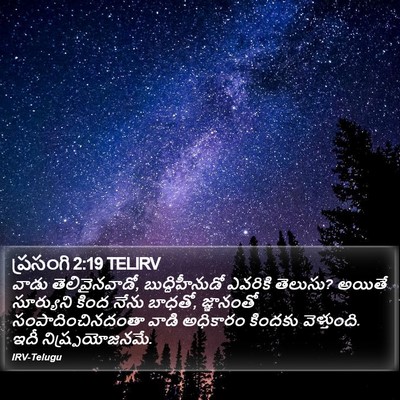 ప్రసంగి 2:19 TELIRV Bible Verse Image