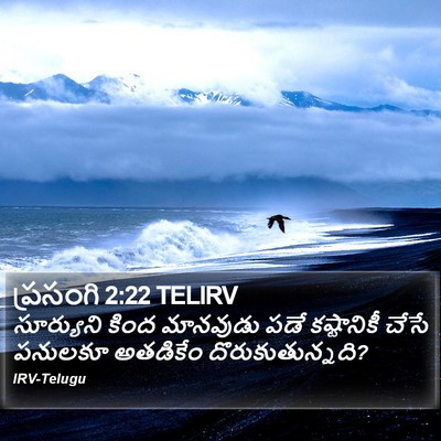 ప్రసంగి 2:22 TELIRV Bible Verse Image