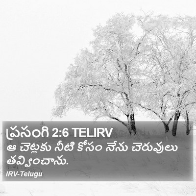 ప్రసంగి 2:6 TELIRV Bible Verse Image