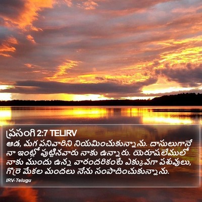 ప్రసంగి 2:7 TELIRV Bible Verse Image