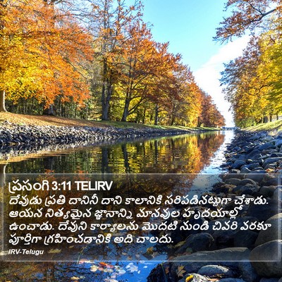 ప్రసంగి 3:11 TELIRV Bible Verse Image