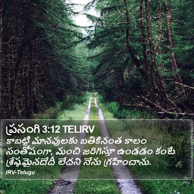 ప్రసంగి 3:12 TELIRV Bible Verse Image