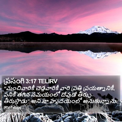 ప్రసంగి 3:17 TELIRV Bible Verse Image
