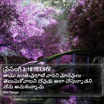 ప్రసంగి 3:18 TELIRV Bible Verse Image