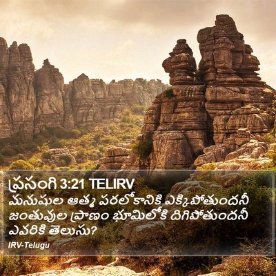 ప్రసంగి 3:21 TELIRV Bible Verse Image