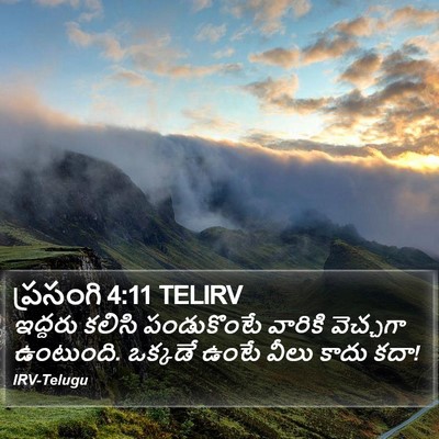 ప్రసంగి 4:11 TELIRV Bible Verse Image