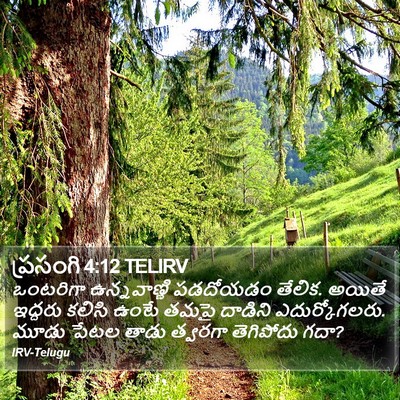 ప్రసంగి 4:12 TELIRV Bible Verse Image