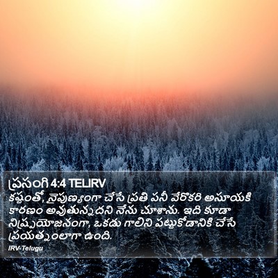 ప్రసంగి 4:4 TELIRV Bible Verse Image