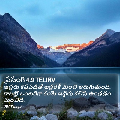 ప్రసంగి 4:9 TELIRV Bible Verse Image